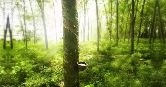 倍然乳膠家居按摩枕,倍然乳膠家居花板按摩床墊,倍然乳膠家居?jì)雰和?湖南倍然乳膠家居有限公司 倍然乳膠家居按摩枕,倍然乳膠家居花板按摩床墊,倍然乳膠家居?jì)雰和?湖南倍然乳膠家居有限公司
